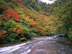 富山県高岡市に位置するアクセス便利なビジネスホテル【東横INN新高岡駅新幹線南口】の魅力と詳細情報