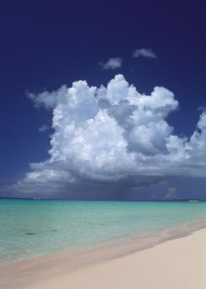 仙台駅から徒歩7分！コストパフォーマンス抜群の東横INN仙台東口1号館の魅力と詳細情報