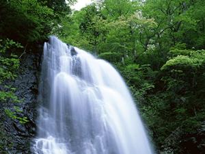 千葉駅徒歩5分のビジネスホテル【東横INN千葉駅前】の魅力と詳細情報