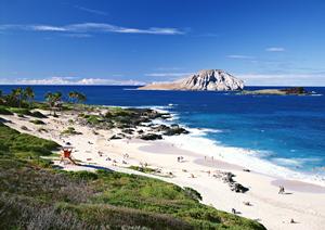 青森県八戸市に位置するビジネスホテル「東横INN八戸駅前」の魅力と詳細情報