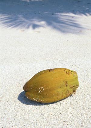 東横INN北戸田駅東口：埼玉県戸田市の快適ビジネスホテル完全ガイド