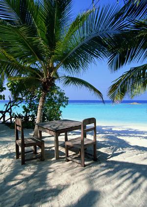 和歌山駅近くのビジネスホテル【東横INNJR和歌山駅東口】の魅力と詳細情報